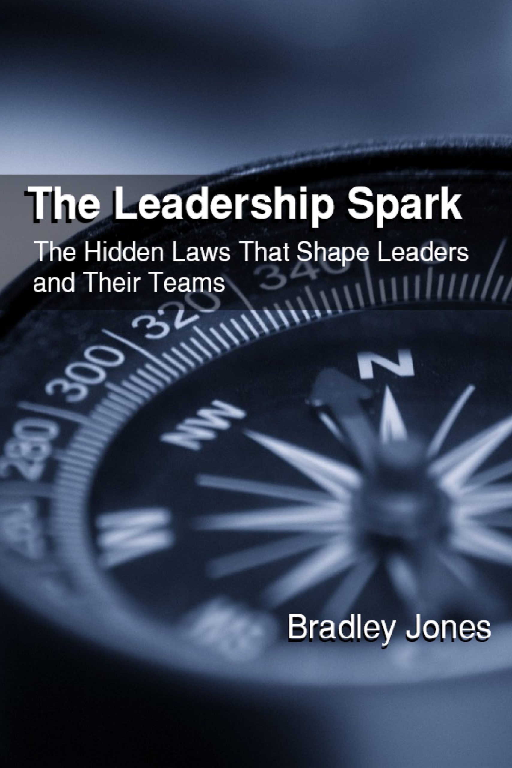 The Leadership Spark